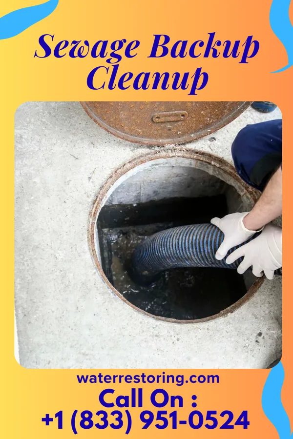 Sewage Backup Cleanup in Bakersfield, MO